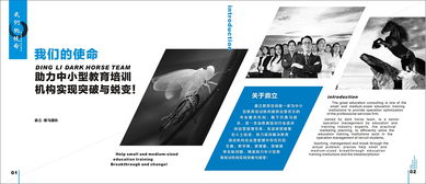 廣告策劃 教育行業(yè)類(lèi)畫(huà)冊(cè)